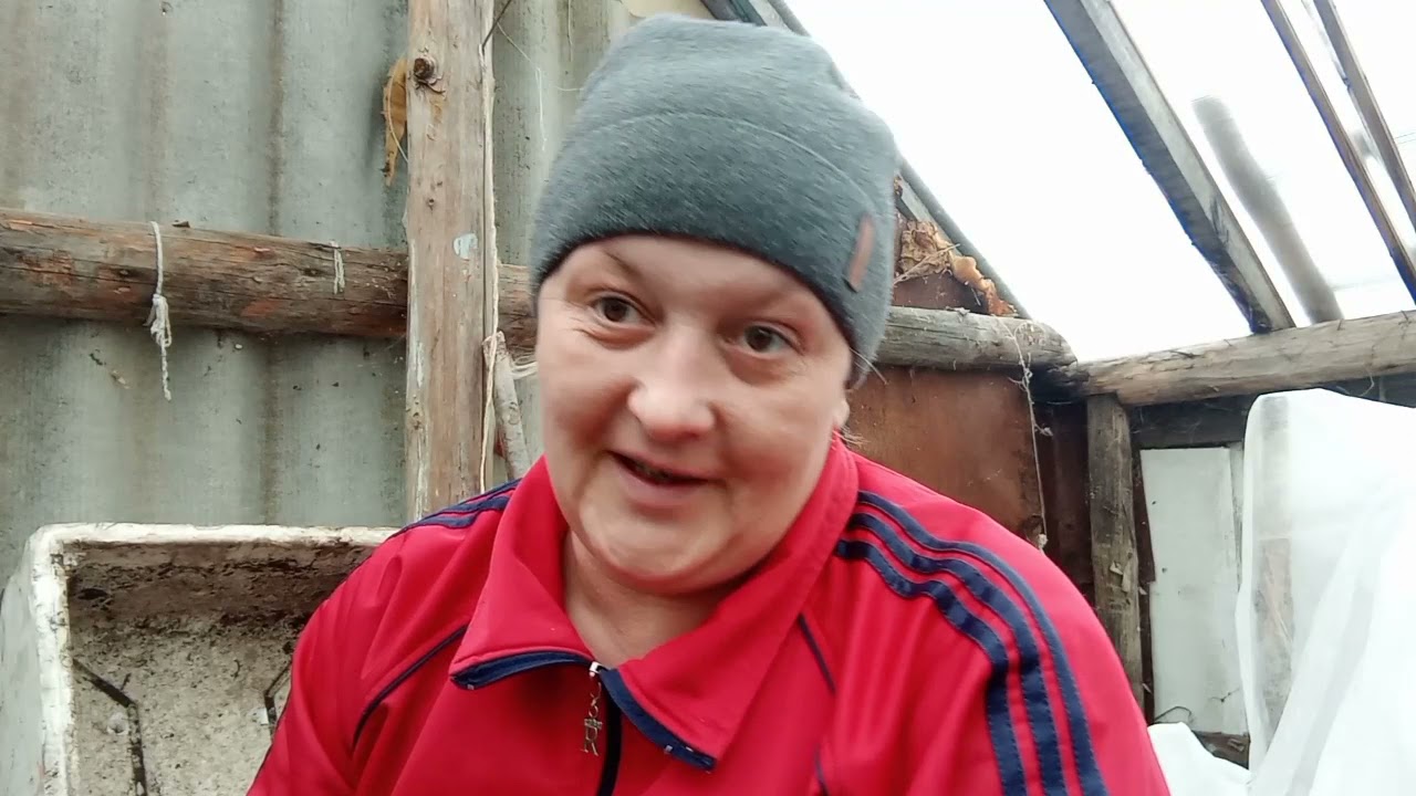 🌺Прищипка виолы-результат🌺Популярное видио канала🌺