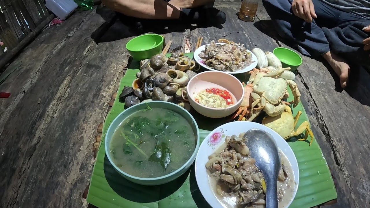 #826. Sống dài ngày trong rừng mùa mưa, bữa sáng tuyệt vời.