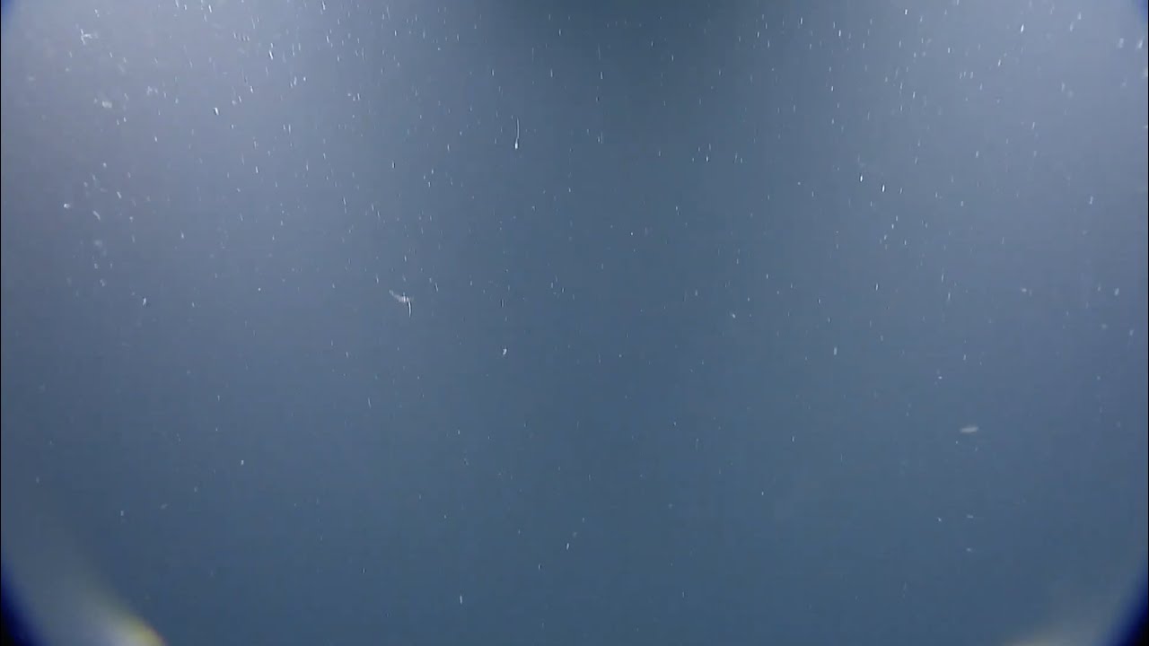 ROV Hercules Dive NA129 H1869 2021 08 08 06 45 48 257 UTC 15