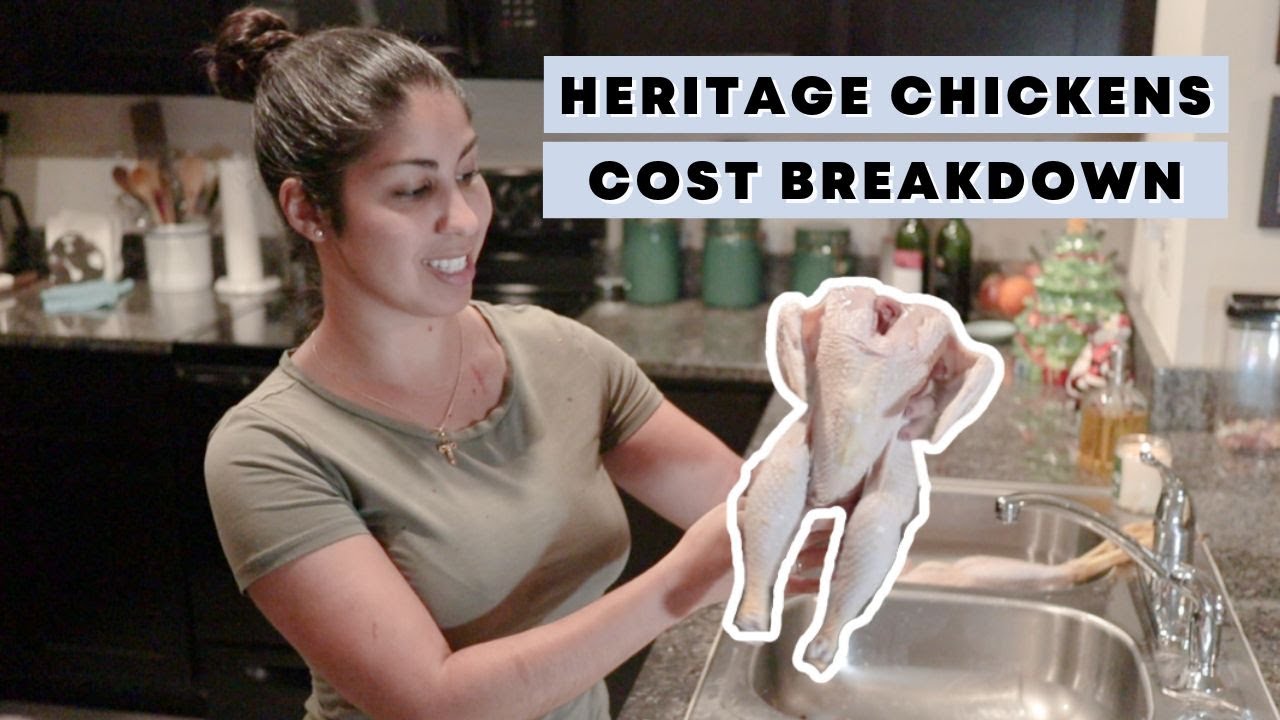 HOW MUCH does raising chickens for meat cost? (HERITAGE Chickens for Meat)