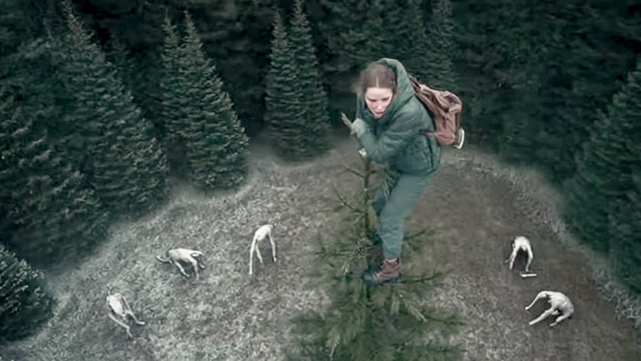4 Days Trapped High Up in a Tree to Escape Terrifying Forest Creatures That Want to Devour Her