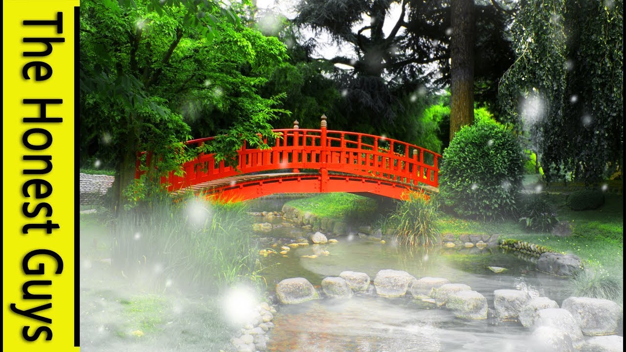 Guided Meditation: The Garden of Possibilities. A Short Time-Out for Busy People