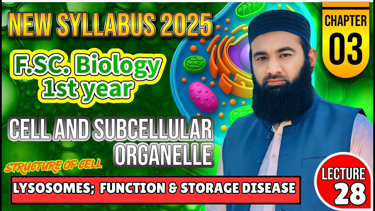 lysosomes FUNCTIONS I Cell and subcellular organelle | Chapter 3: F.Sc. 1st Year Biology | Lec#28