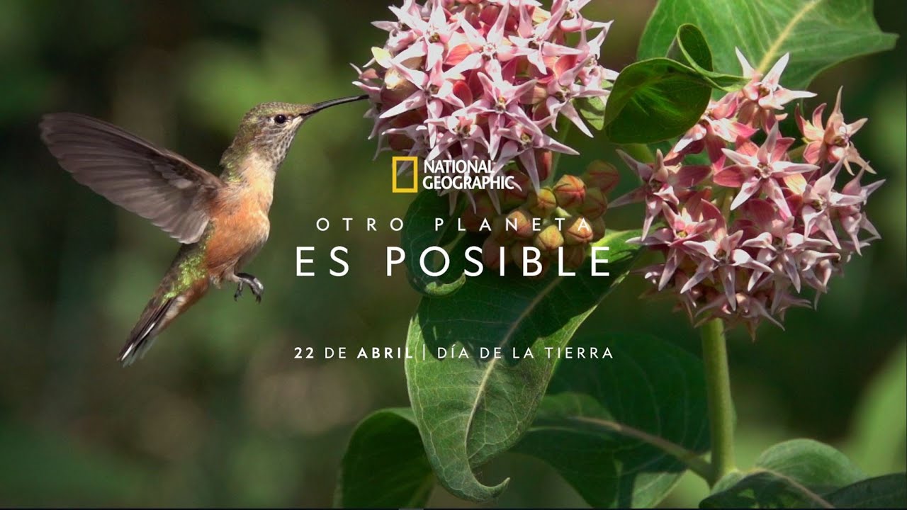 El D&Iacute;A DE LA TIERRA por Exploradores de National Geograohic