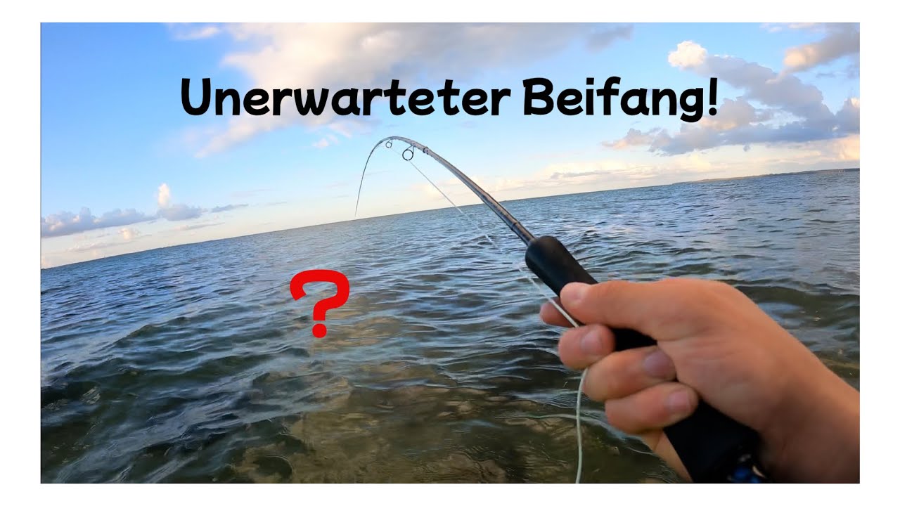 Fliegenfischen auf Meerforelle mit dem EP-Streamer bringt unerwartetes Ergebnis!