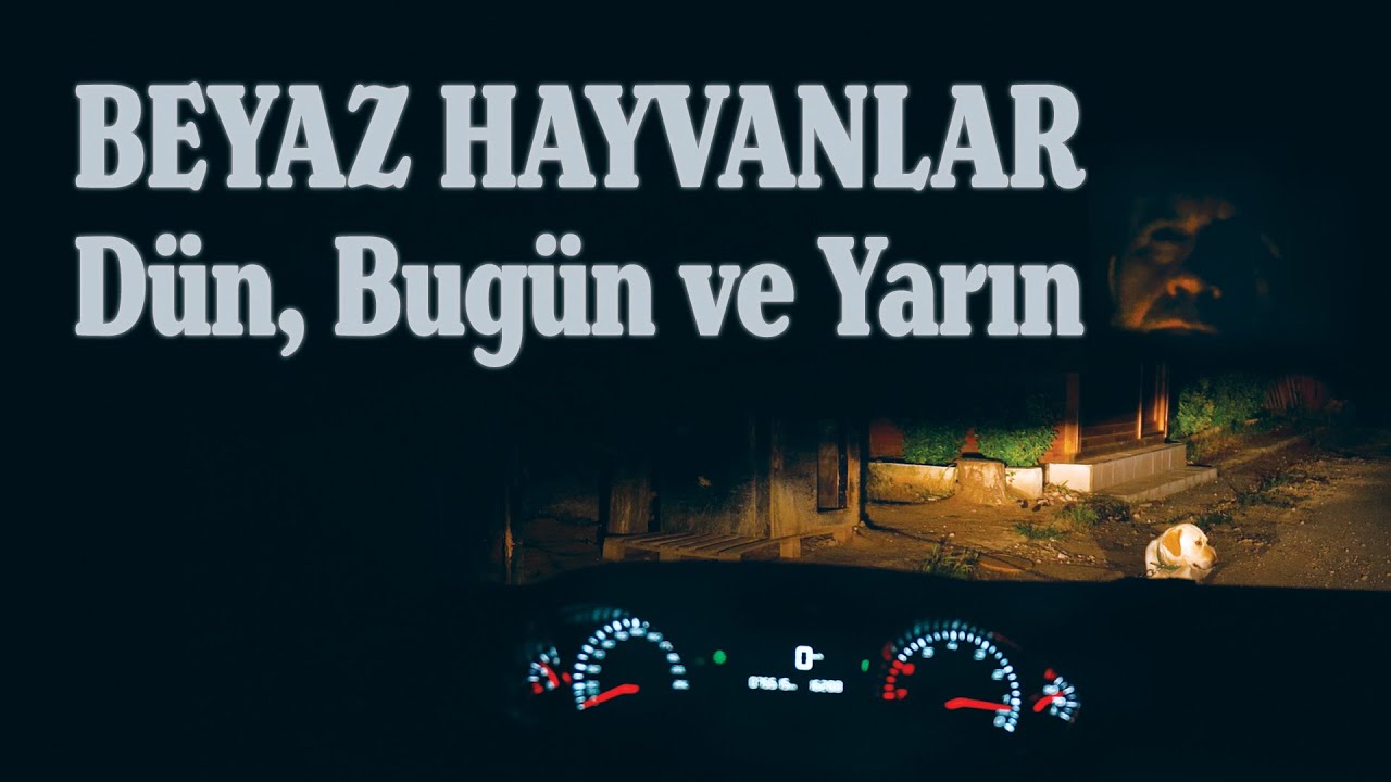Beyaz Hayvanlar - Dün, Bugün ve Yarın