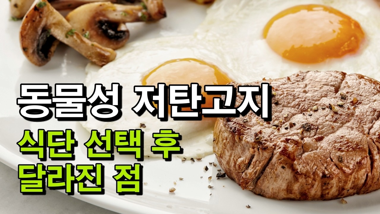 내게 맞는 식단을 찾는 5가지 기준