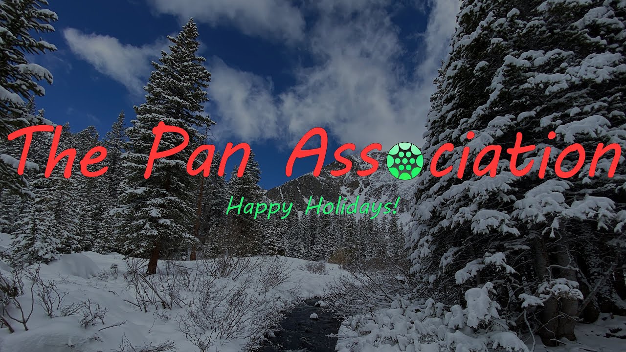 Please Come Home For Christmas - The Pan Association ft. Shayne MacLaughlin - Steel Drum Cover