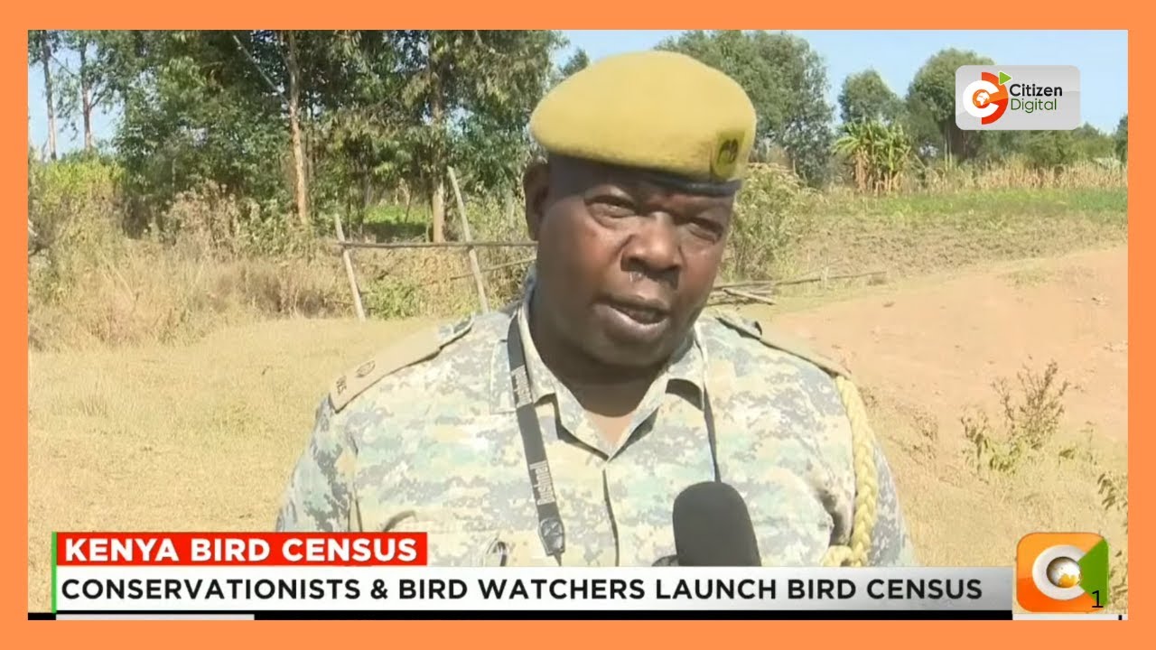 Conservationists & bird watchers launch bird census