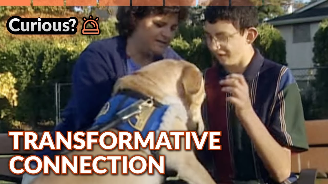 Disabled Teen Finds Voice Through Service Dog Tom Brady | Dogs with Jobs