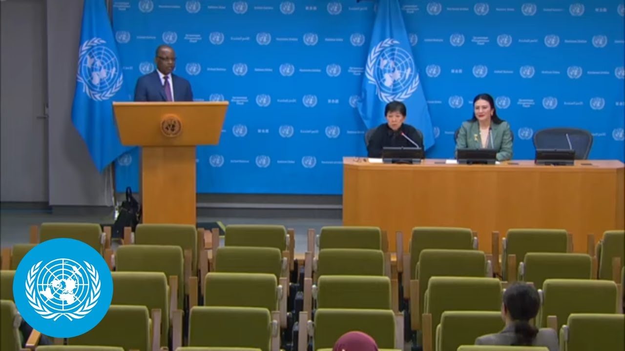 '45% of all violent deaths globally, are committed by small arms'- Press Conference | United Nations