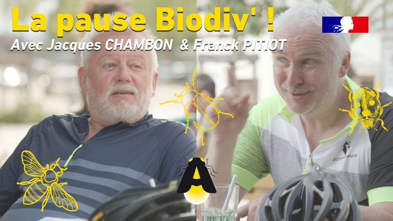 LA PAUSE BIODIV' : SOUS LES PAVÉS, LA PLANTE ! (Episode 6)