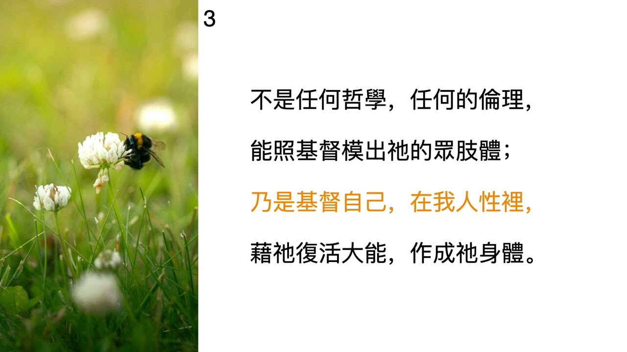 大本詩歌第402首  不是字句律法