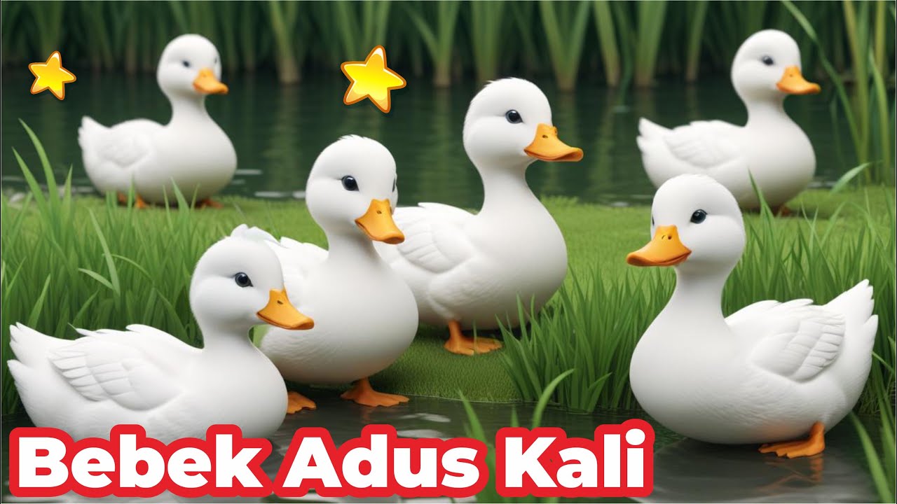 BEBEK ADUS KALI NUTUTI SABUN WANGI BAPAK MUNDHUT ROTI DIPARINGI , LAGU BEBEK ADUS KALI BAHASA JAWA