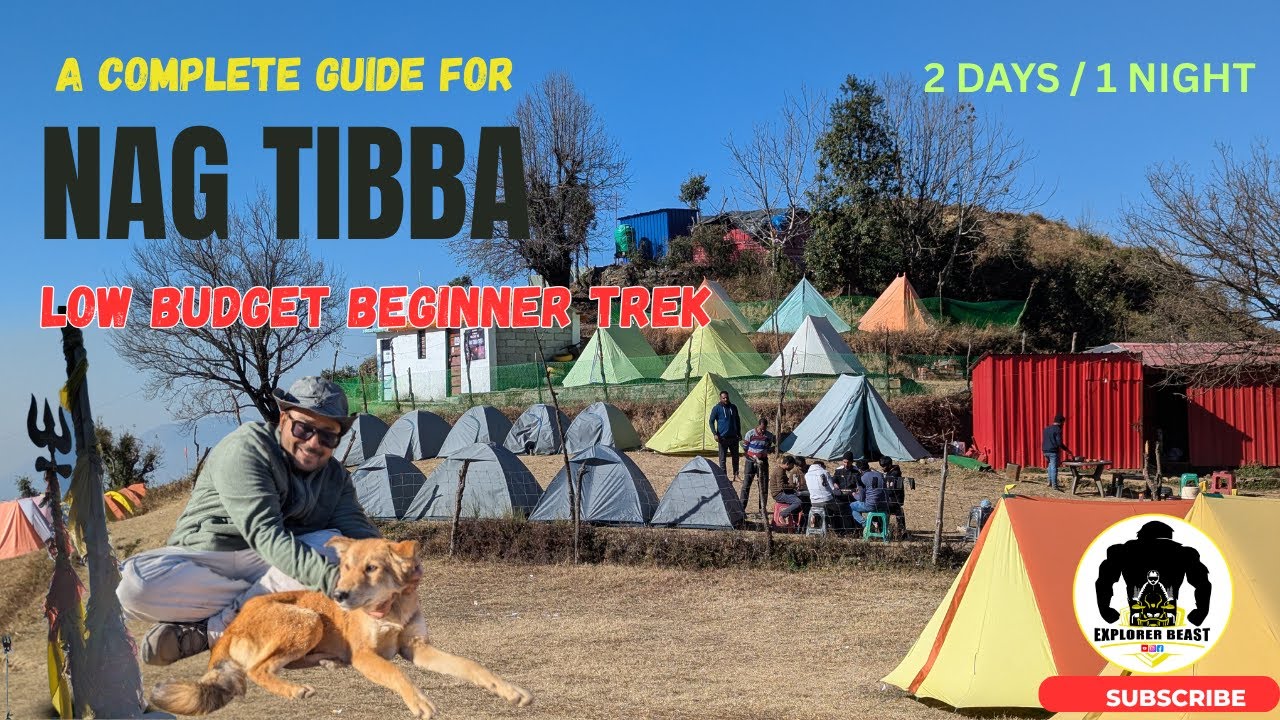 Nag Tibba Trek Guide 🏔️ | Distance, Cost, Views | Beginner Friendly?🤔