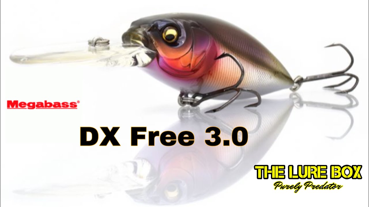 Quick look- Megabass DX Free 3.0 #lurefishing #megabasslures #lurefishinguk