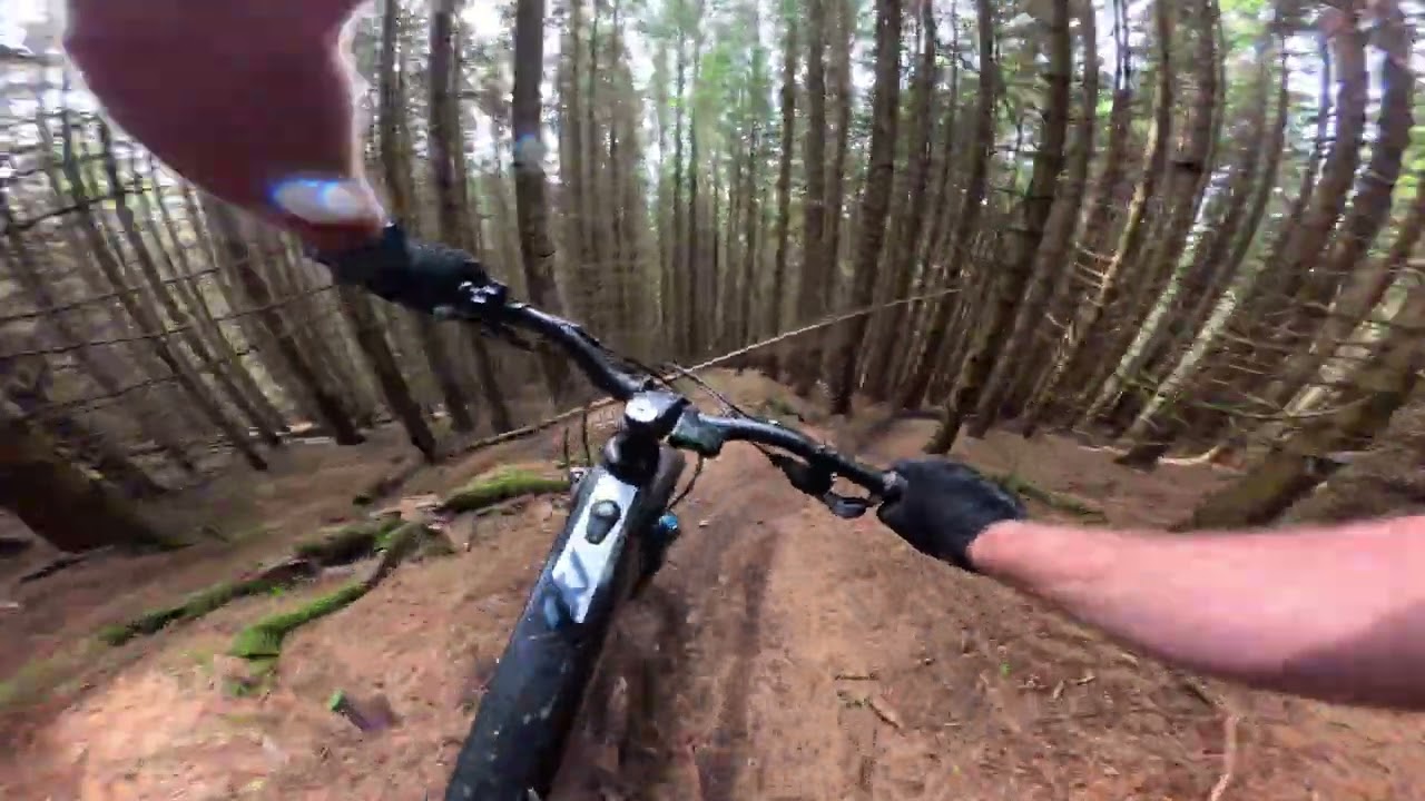 Raw, Fast, Perfect - This MTB Trail Delivers