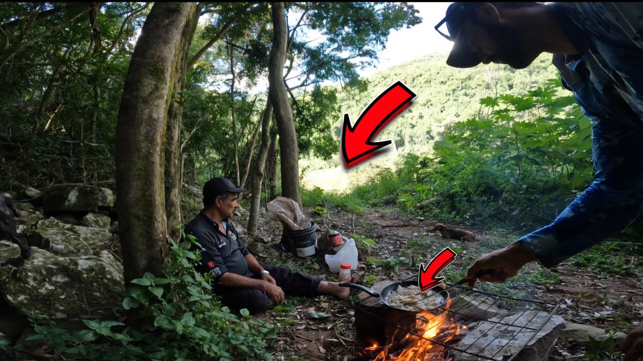 Tentei Uma Coisa Difícil no POÇÃO! Na Mata Fritamos PEIXE! Pescaria Raiz.