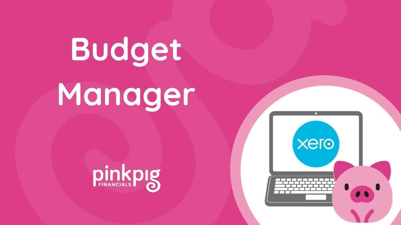 REPORTING: Budget Manager  | Make Xero Your Hero