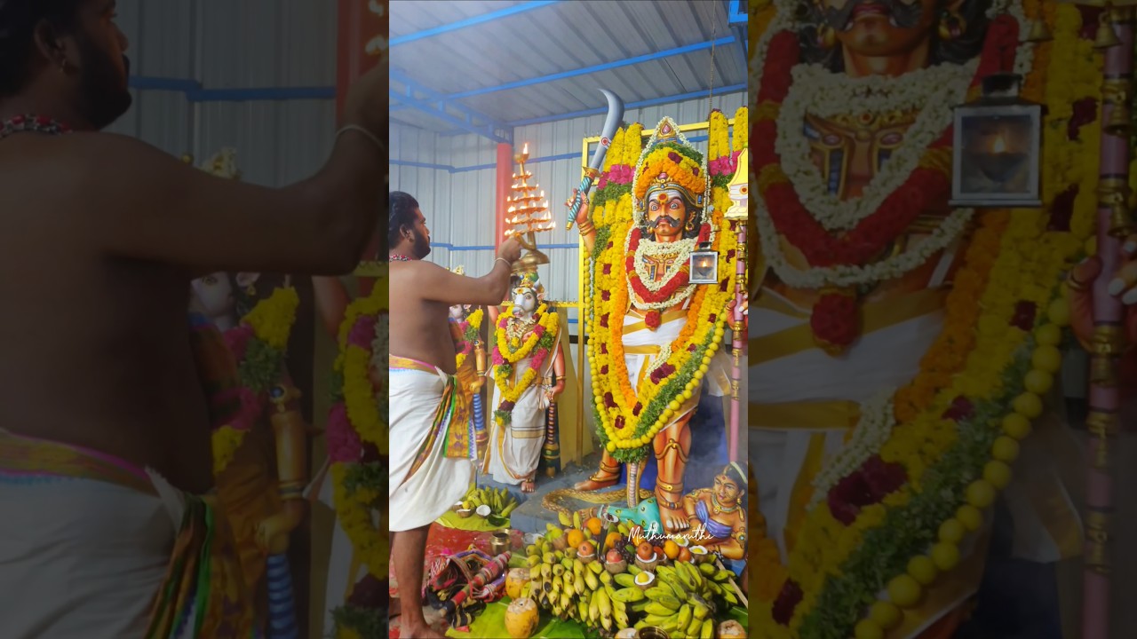 சுடலைமாடன்🔥💥😍||குலதெய்வம் சுடலைமாடன் 🙏#சுடலைமாடன்#சுடலை_அழைப்பு#சுடலை #kulasaiamma