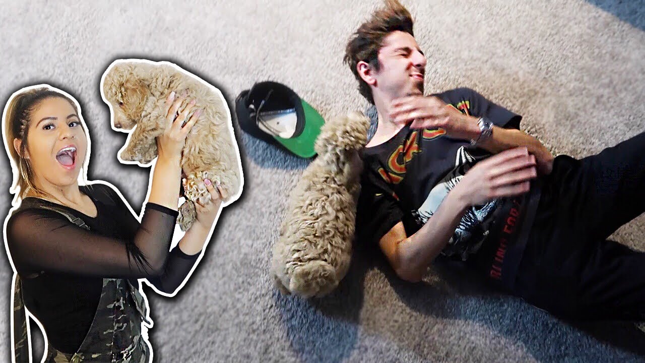 New dog ATTACKS FaZe Rug!! *SURPRISING JACKIE*