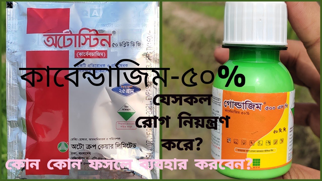 কার্বেন্ডাজিম/carbendazim-50%: কার্যকারিতা ও ব্যবহারবিধি।
