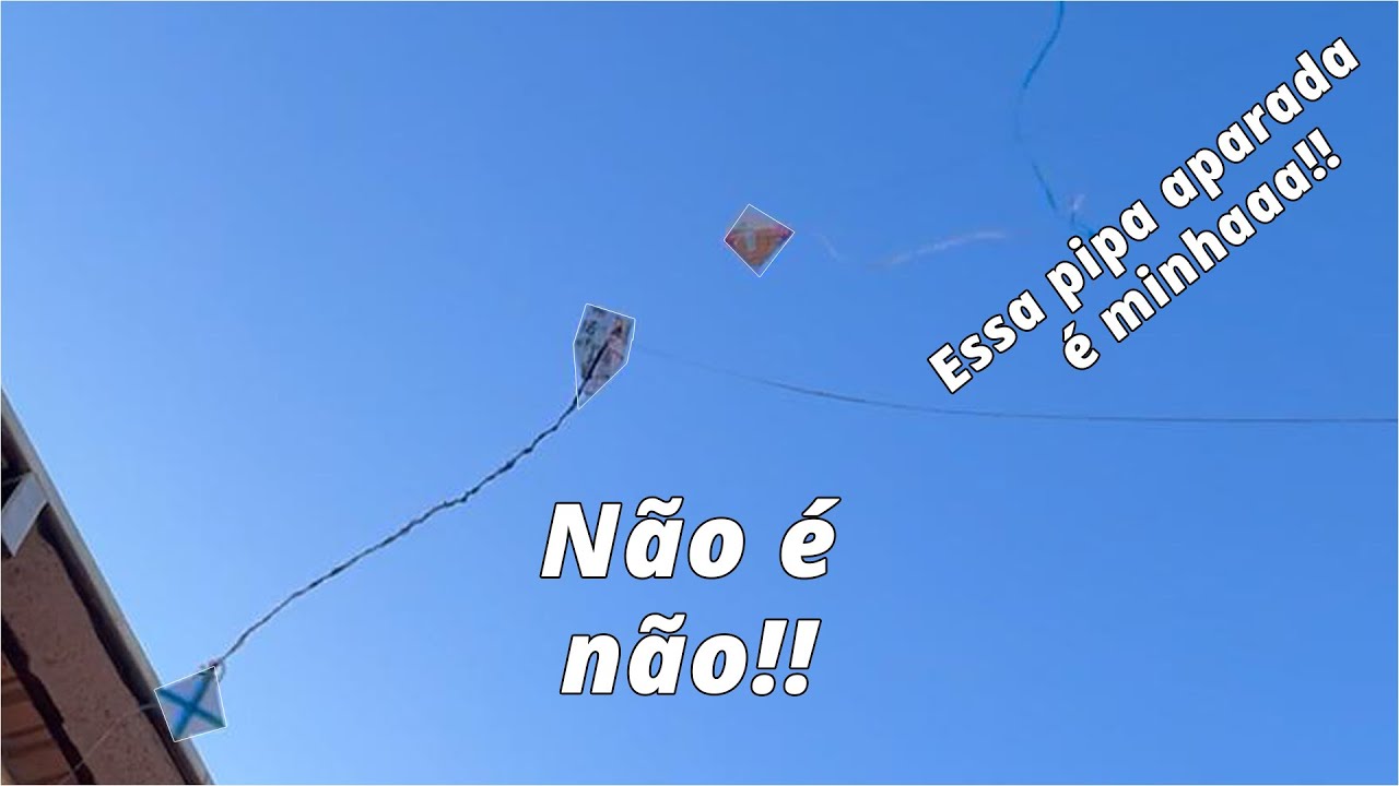ESSA MINIPIPA NÃO QUERIA DEIXAR EU APARAR A QUE ELE CORTOU !!! #minipipa #minipipas