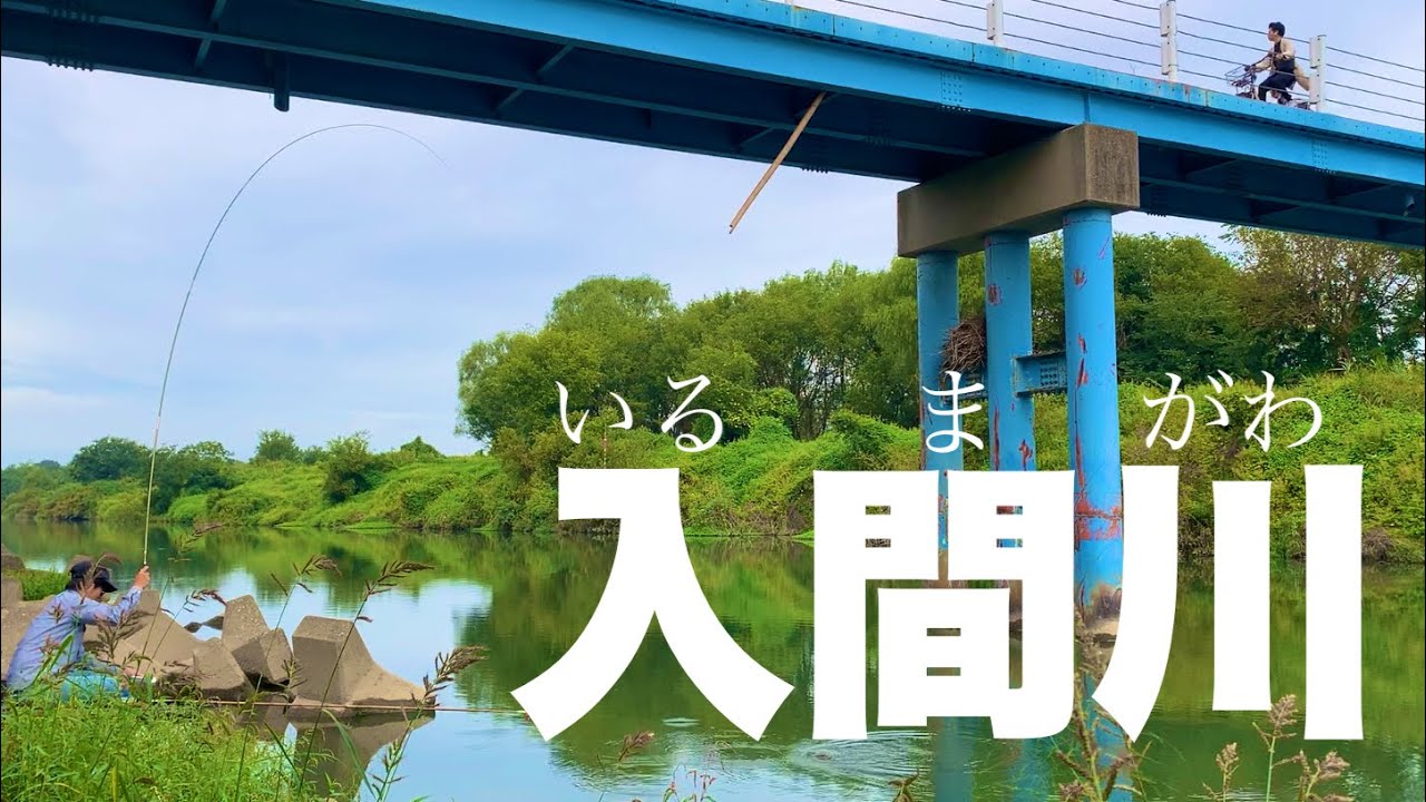 野べらが釣りたい！入間川本流へらぶな釣り