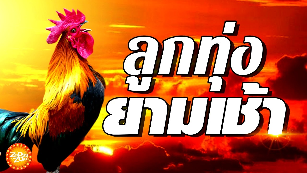 เพลงลูกทุ่งยามเช้า #ฟังเพราะแบบต่อเนื่อง