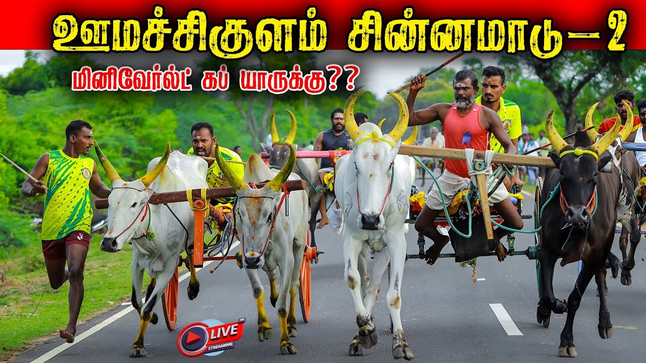 ⭕LIVE|1,00,073 லட்ச ரூபாய் சின்னமாடு-2 ஊமச்சிகுளம் மினி வேல்ட்கப் யாருக்கு Madurai நேரலை 2026