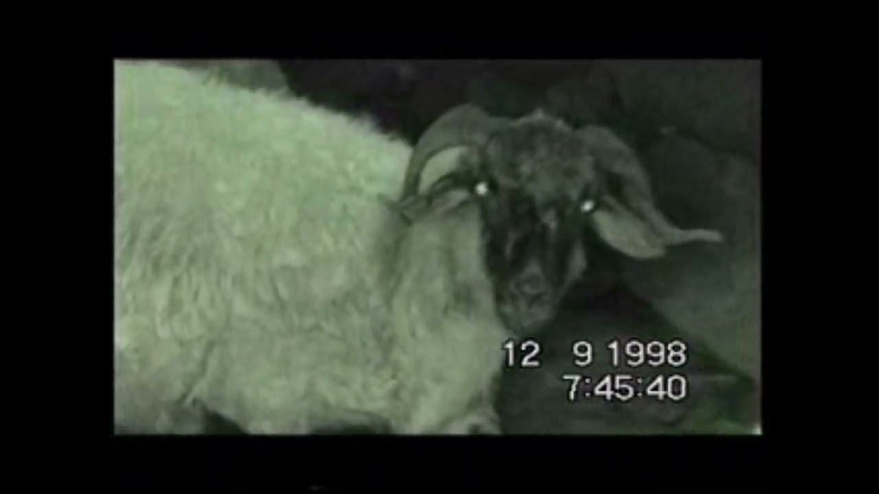 1998 belgesel tadında aşağı ve yukarı kavron çekimleri.