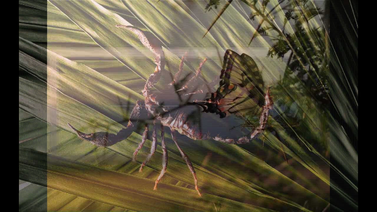 Мир фото - природа - Nature slideshow 2013