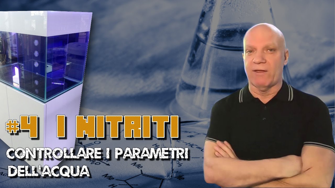Come i Nitriti influenzano la qualità dell'acqua del nostro acquario