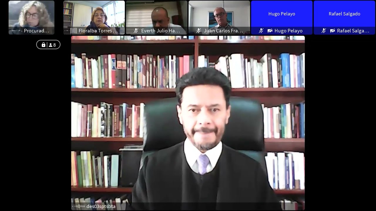 Revocatoria Medida de Aseguramiento Everth Hawkins Intervenciones Fiscalia, procuradora Imputado.