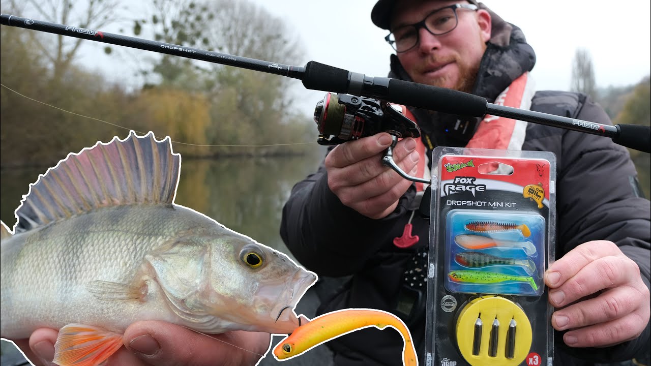 Une technique ULTRA efficace en HIVER, le DROP SHOT #foxrage