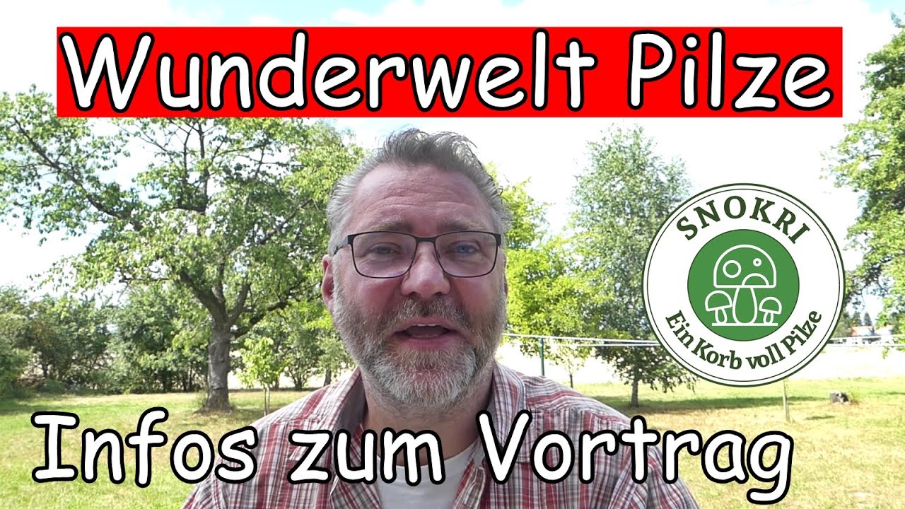 Wunderwelt Pilze - Info zum Vortrag