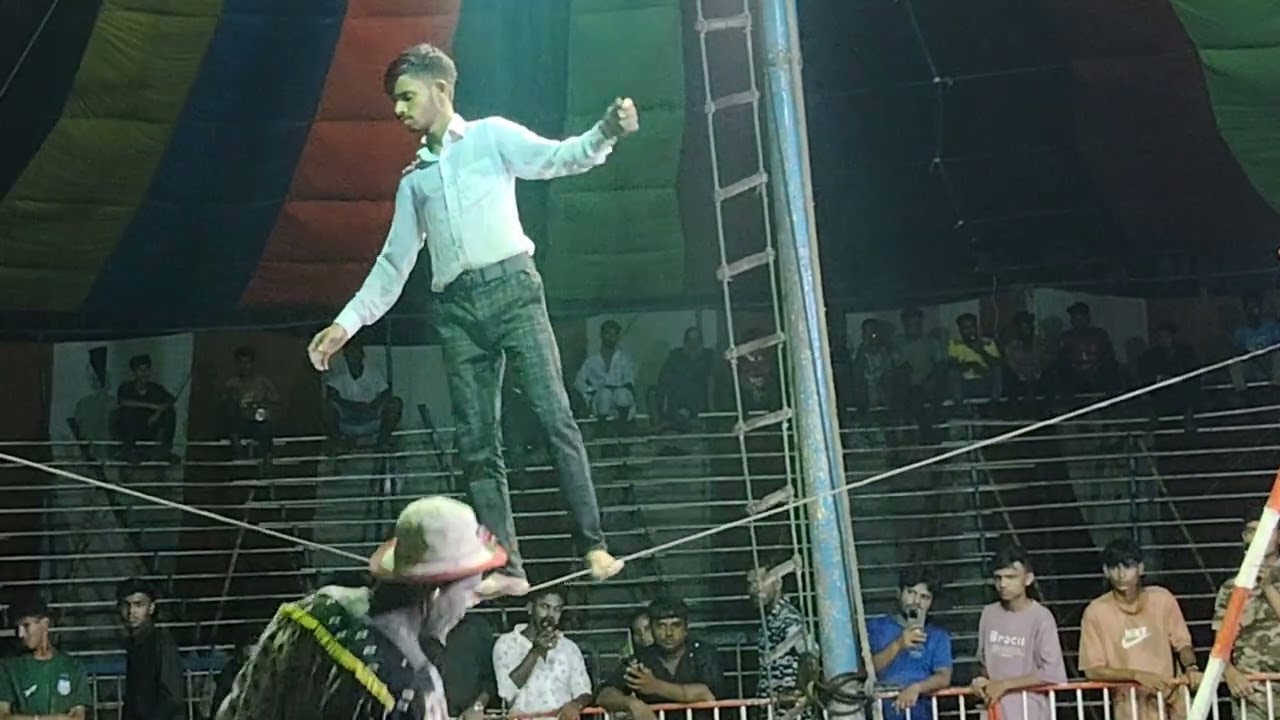 সার্কাস