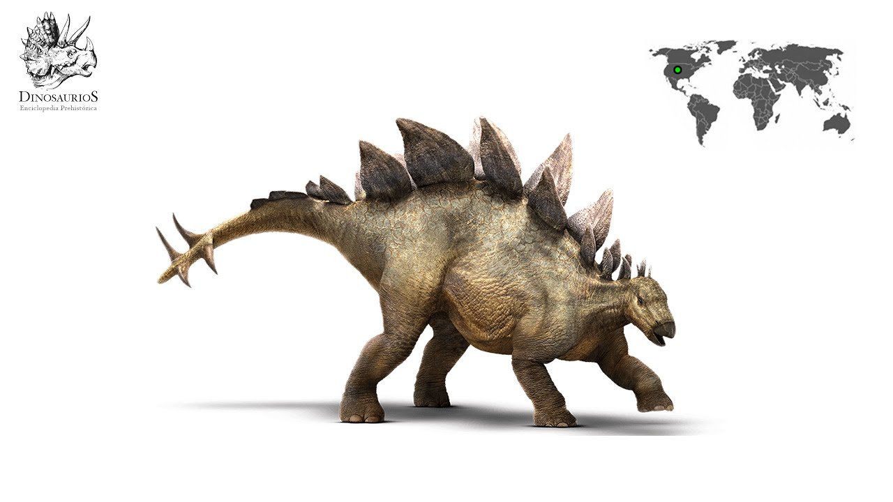 ​Stegosaurus