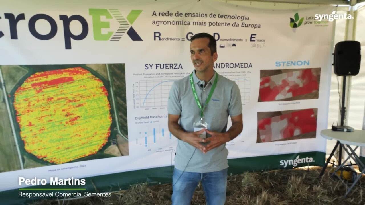 Dia de Campo na Quinta da Cholda