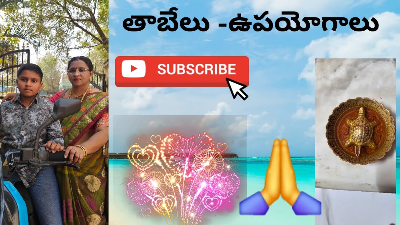 తాబేలుబొమ్మ పెట్టుకోవటం వల్ల మంచిదా, కాదా?🐢🐢