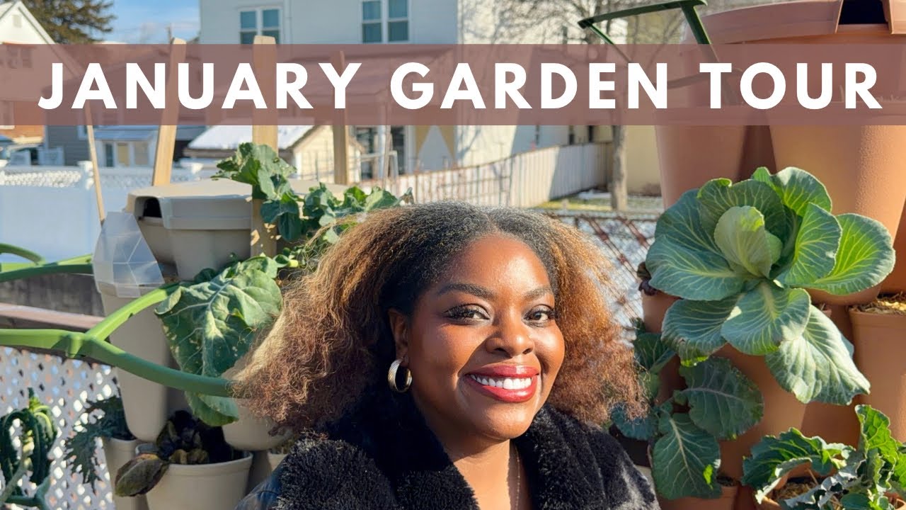 January Garden Tour 🌱 | Winter Garden Update #WinterGardening#KitchenGarden#JanuaryGarden