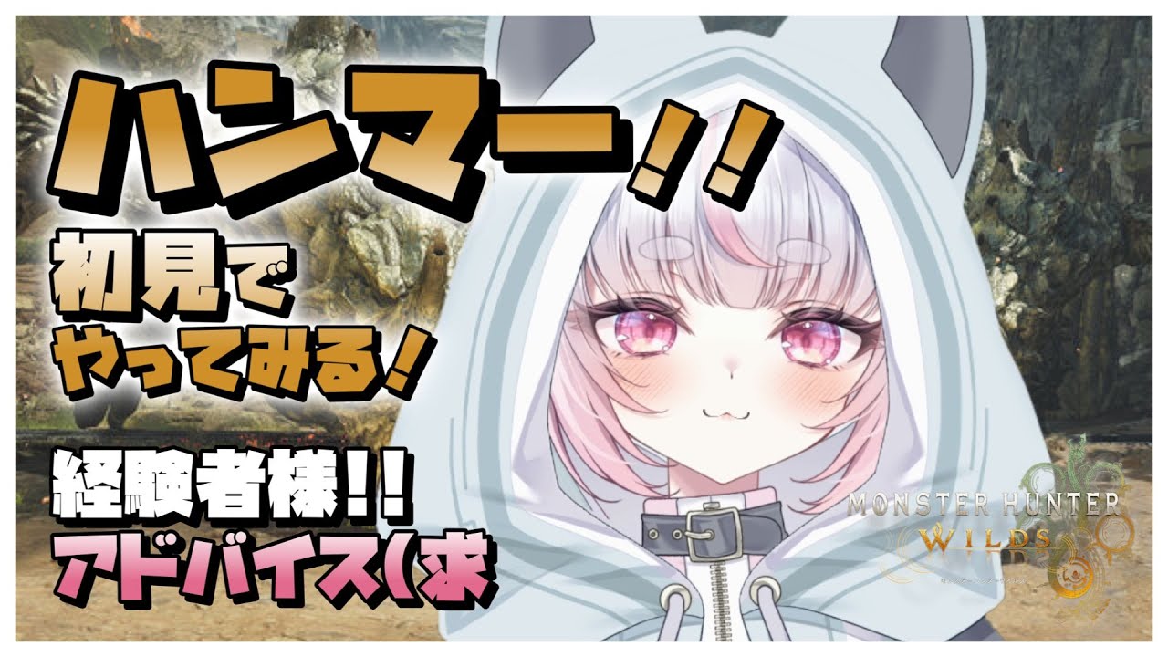 未使用武器!!【モンスターハンターワイルズ】ハンマー!! 初見で挑んでみる!!【参加型】🔰monsterhunterwilds   モンハンワイルズ