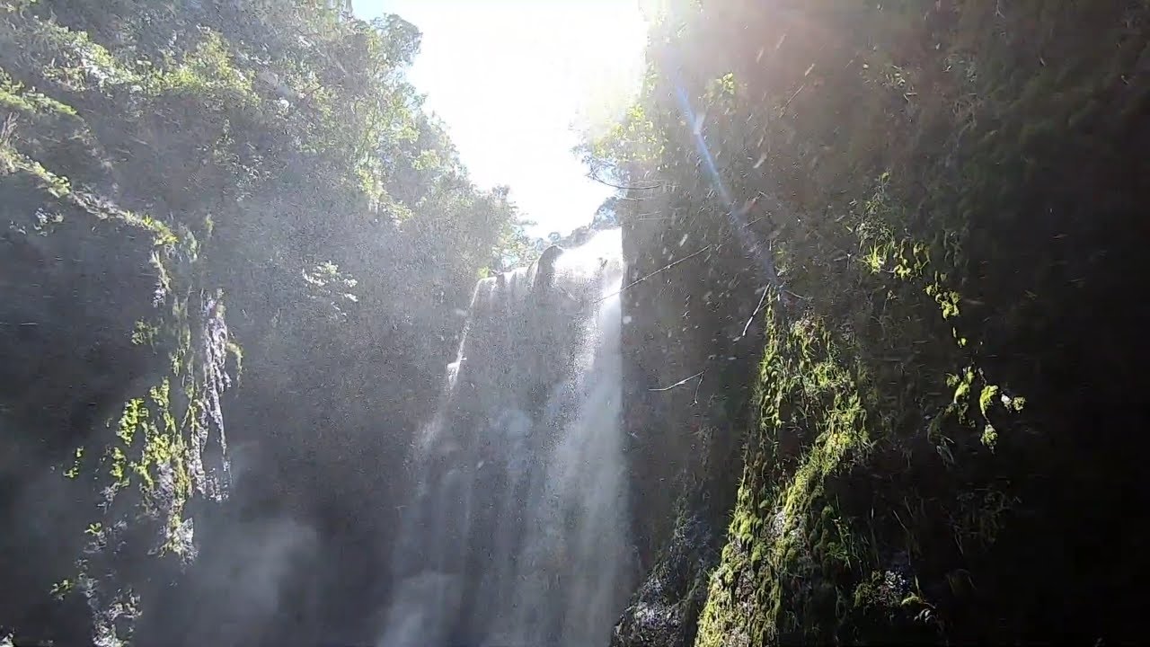 Ragia Forest Hike