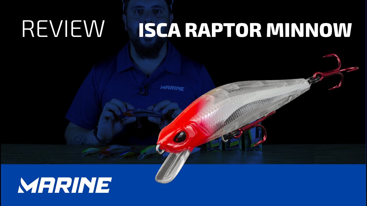 ISCA RAPTOR MINNOW REVIEW - MARINE