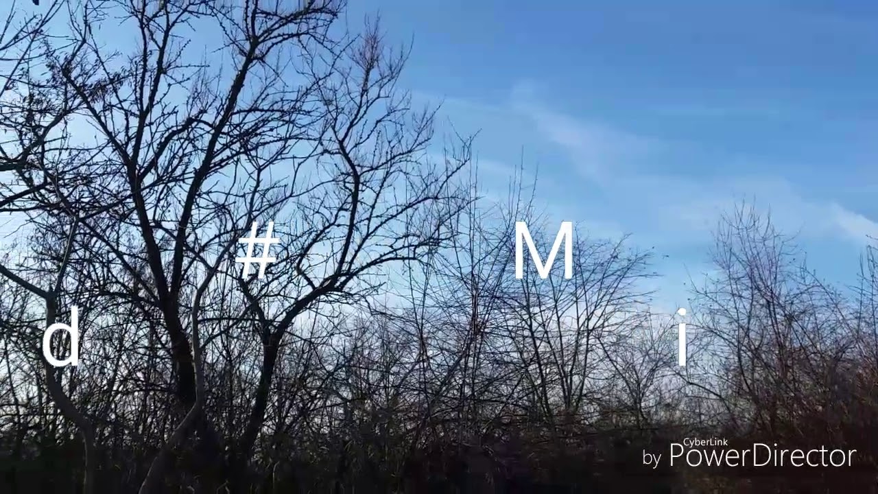M&uuml;ll im Wald Tag#28