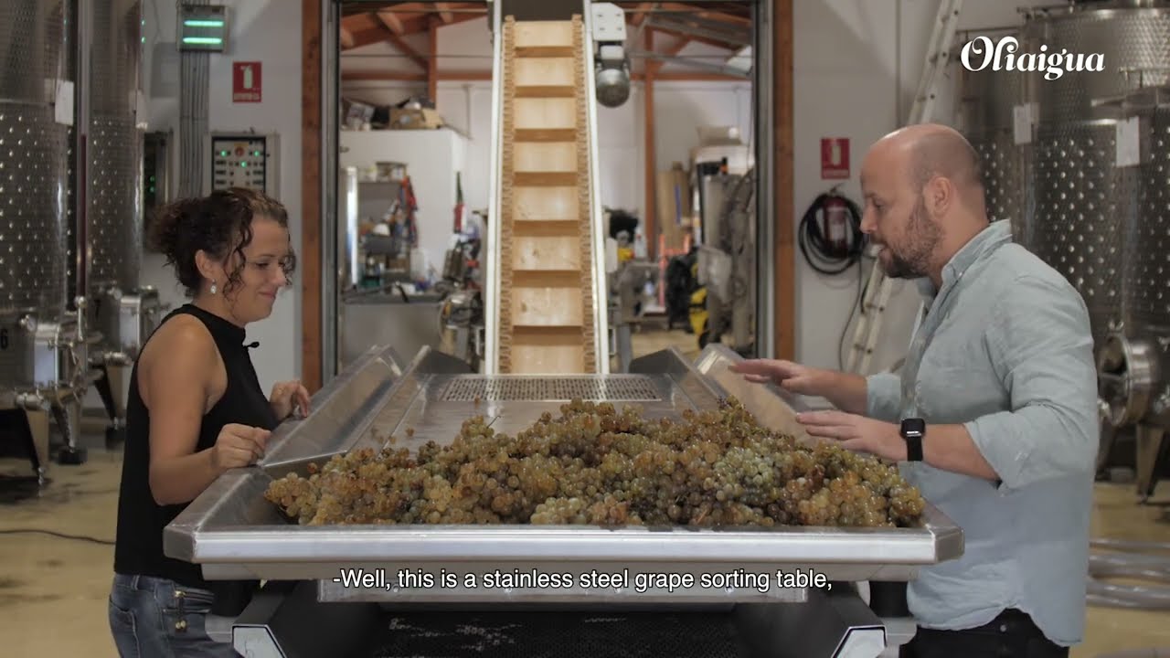 Bodegas Torralbenc Menorca parte 1/4