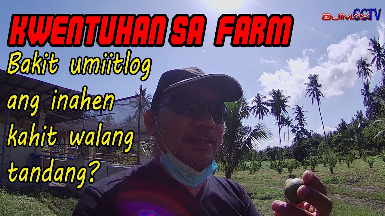 Vlog 35 | Kwentuhan sa farm habang nag i install ng cctv | Ojimax | How to install cctv