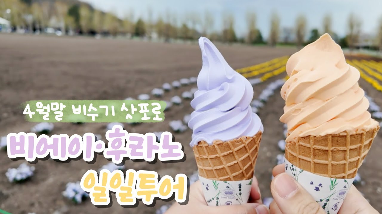 홋카이도 일본여행✈️ 4월 비수기 삿포로도 즐거워🎵 비에이 후라노 일일투어 | 후라노와이너리 팜도미타 청의호수 흰수염폭포 쥰페이 사계채언덕 세븐스타나무 탁신관