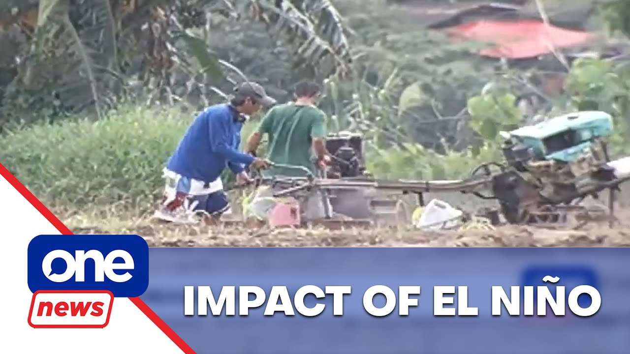 Sugar workers worry about poor harvest during El Ni&ntilde;o