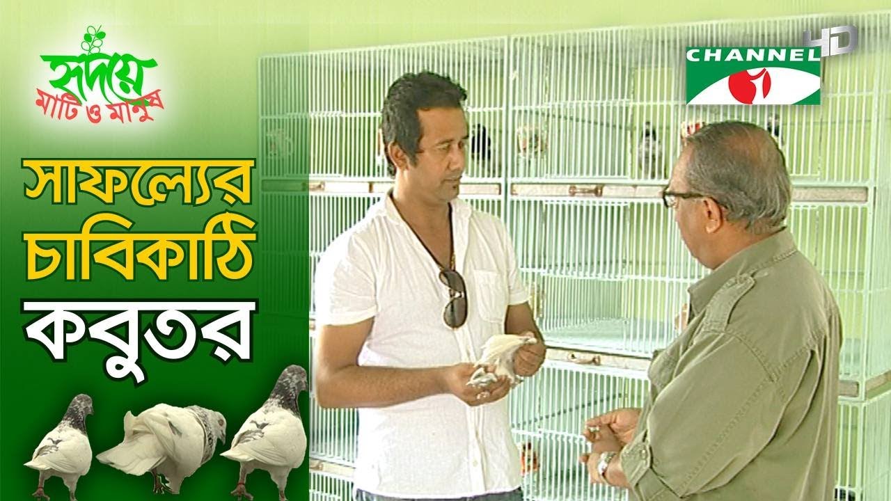 কবুতর পালনে অবিশ্বাস্য সফলতা | Shykh Seraj | Channel i |